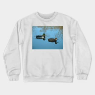 Ducks Crewneck Sweatshirt